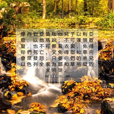 Picture 07 - 利 未 記 10:6 CUVT - 摩 西 對 亞 倫 和 他 兒 子 以 利 亞 - Bible Verse Picture