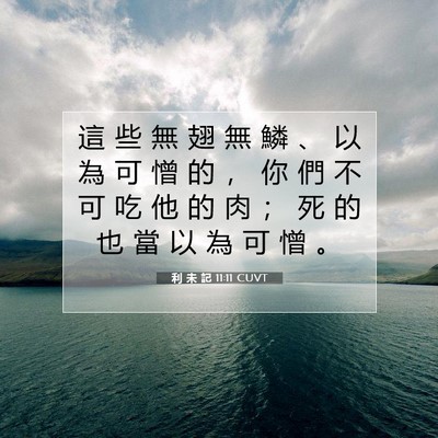Picture 07 - 利 未 記 11:11 CUVT - 這 些 無 翅 無 鱗 、 以 為 可 憎 的 - Bible Verse Picture