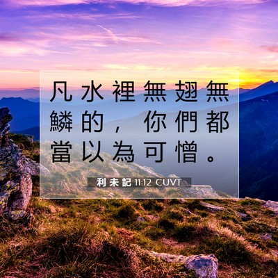 Picture 07 - 利 未 記 11:12 CUVT - 凡 水 裡 無 翅 無 鱗 的 ， 你 們 都 - Bible Verse Picture