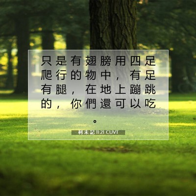Picture 07 - 利 未 記 11:21 CUVT - 只 是 有 翅 膀 用 四 足 爬 行 的 物 - Bible Verse Picture