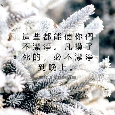 Picture 07 - 利 未 記 11:24 CUVT - 這 些 都 能 使 你 們 不 潔 淨 。 凡 - Bible Verse Picture