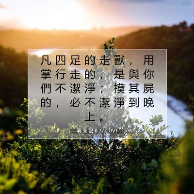 Picture 07 - 利 未 記 11:27 CUVT - 凡 四 足 的 走 獸 ， 用 掌 行 走 的 - Bible Verse Picture
