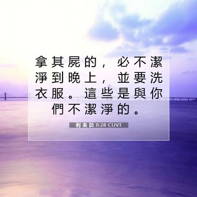 Picture 07 - 利 未 記 11:28 CUVT - 拿 其 屍 的 ， 必 不 潔 淨 到 晚 上 - Bible Verse Picture
