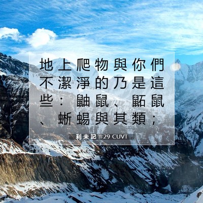 Picture 07 - 利 未 記 11:29 CUVT - 地 上 爬 物 與 你 們 不 潔 淨 的 乃 - Bible Verse Picture