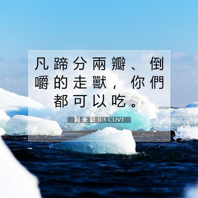 Picture 07 - 利 未 記 11:3 CUVT - 凡 蹄 分 兩 瓣 、 倒 嚼 的 走 獸 ， - Bible Verse Picture