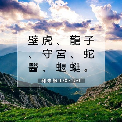 Picture 07 - 利 未 記 11:30 CUVT - 壁 虎 、 龍 子 、 守 宮 、 蛇 醫 、 - Bible Verse Picture