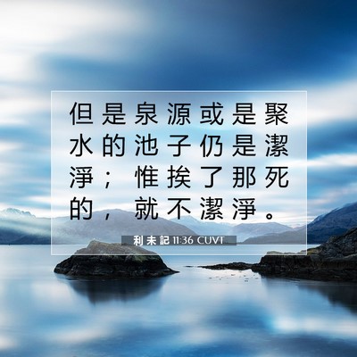 Picture 07 - 利 未 記 11:36 CUVT - 但 是 泉 源 或 是 聚 水 的 池 子 仍 - Bible Verse Picture