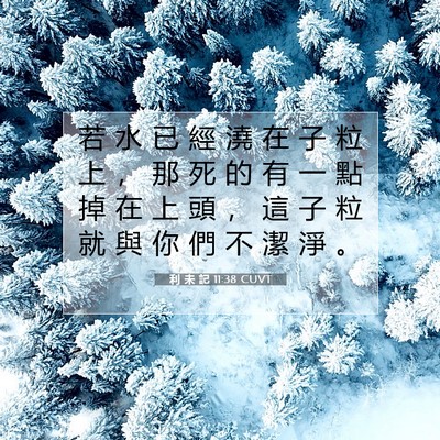 Picture 07 - 利 未 記 11:38 CUVT - 若 水 已 經 澆 在 子 粒 上 ， 那 死 - Bible Verse Picture