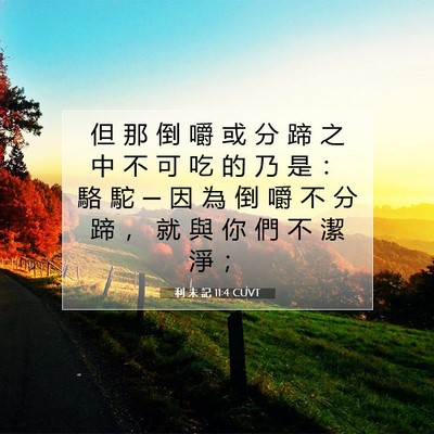 Picture 07 - 利 未 記 11:4 CUVT - 但 那 倒 嚼 或 分 蹄 之 中 不 可 吃 - Bible Verse Picture