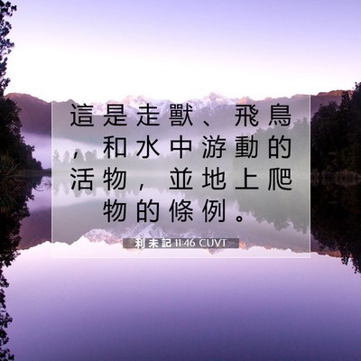 Picture 07 - 利 未 記 11:46 CUVT - 這 是 走 獸 、 飛 鳥 ， 和 水 中 游 - Bible Verse Picture