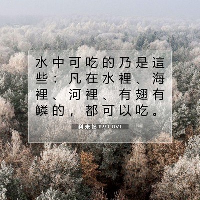 Picture 07 - 利 未 記 11:9 CUVT - 水 中 可 吃 的 乃 是 這 些 ： 凡 在 - Bible Verse Picture
