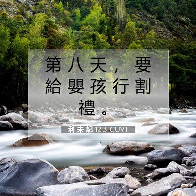 Picture 07 - 利 未 記 12:3 CUVT - 第 八 天 ， 要 給 嬰 孩 行 割 禮 - Bible Verse Picture