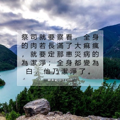 Picture 07 - 利 未 記 13:13 CUVT - 祭 司 就 要 察 看 ， 全 身 的 肉 若 - Bible Verse Picture