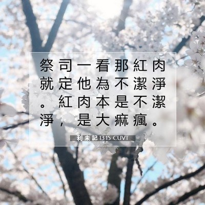 Picture 07 - 利 未 記 13:15 CUVT - 祭 司 一 看 那 紅 肉 就 定 他 為 不 - Bible Verse Picture