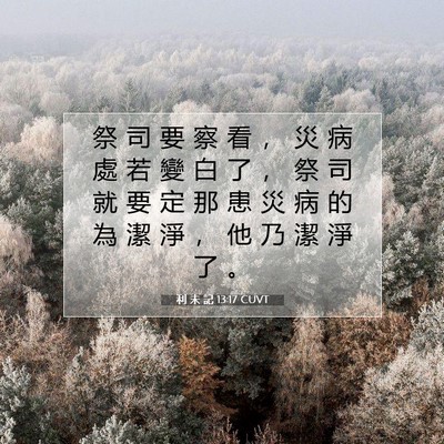 Picture 07 - 利 未 記 13:17 CUVT - 祭 司 要 察 看 ， 災 病 處 若 變 白 - Bible Verse Picture