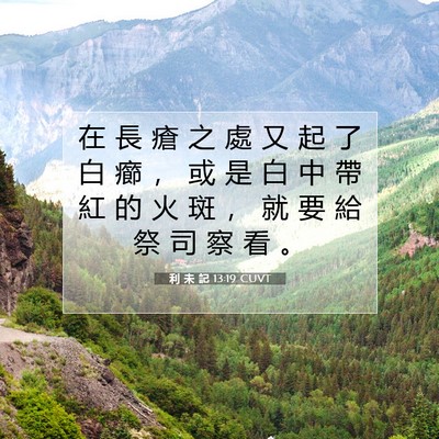 Picture 07 - 利 未 記 13:19 CUVT - 在 長 瘡 之 處 又 起 了 白 癤 ， 或 - Bible Verse Picture