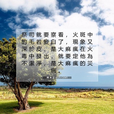 Picture 07 - 利 未 記 13:25 CUVT - 祭 司 就 要 察 看 ， 火 斑 中 的 毛 - Bible Verse Picture