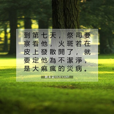 Picture 07 - 利 未 記 13:27 CUVT - 到 第 七 天 ， 祭 司 要 察 看 他 ， - Bible Verse Picture