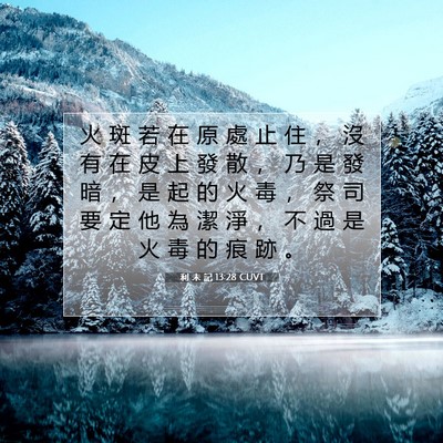 Picture 07 - 利 未 記 13:28 CUVT - 火 斑 若 在 原 處 止 住 ， 沒 有 在 - Bible Verse Picture