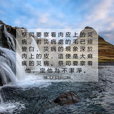 Picture 07 - 利 未 記 13:3 CUVT - 祭 司 要 察 看 肉 皮 上 的 災 病 ， - Bible Verse Picture