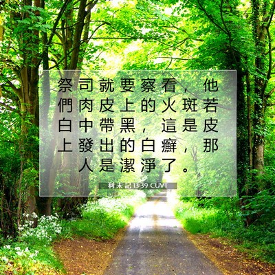 Picture 07 - 利 未 記 13:39 CUVT - 祭 司 就 要 察 看 ， 他 們 肉 皮 上 - Bible Verse Picture