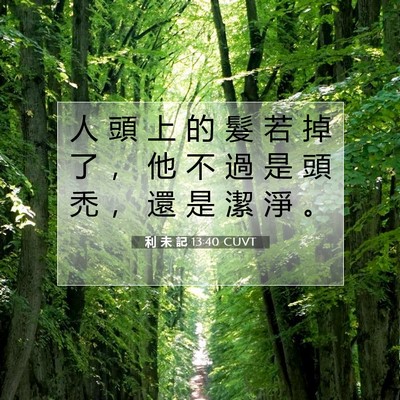 Picture 07 - 利 未 記 13:40 CUVT - 人 頭 上 的 髮 若 掉 了 ， 他 不 過 - Bible Verse Picture