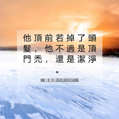 Picture 07 - 利 未 記 13:41 CUVT - 他 頂 前 若 掉 了 頭 髮 ， 他 不 過 - Bible Verse Picture