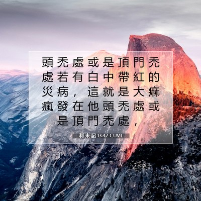 Picture 07 - 利 未 記 13:42 CUVT - 頭 禿 處 或 是 頂 門 禿 處 若 有 白 - Bible Verse Picture