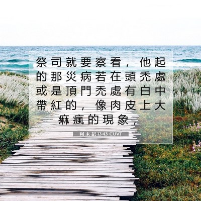 Picture 07 - 利 未 記 13:43 CUVT - 祭 司 就 要 察 看 ， 他 起 的 那 災 - Bible Verse Picture