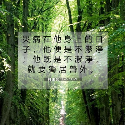 Picture 07 - 利 未 記 13:46 CUVT - 災 病 在 他 身 上 的 日 子 ， 他 便 - Bible Verse Picture