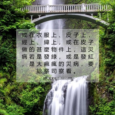 Picture 07 - 利 未 記 13:49 CUVT - 或 在 衣 服 上 、 皮 子 上 ， 經 上 - Bible Verse Picture