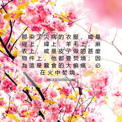 Picture 07 - 利 未 記 13:52 CUVT - 那 染 了 災 病 的 衣 服 ， 或 是 經 - Bible Verse Picture
