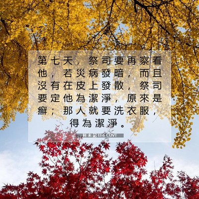 Picture 07 - 利 未 記 13:6 CUVT - 第 七 天 ， 祭 司 要 再 察 看 他 ， - Bible Verse Picture