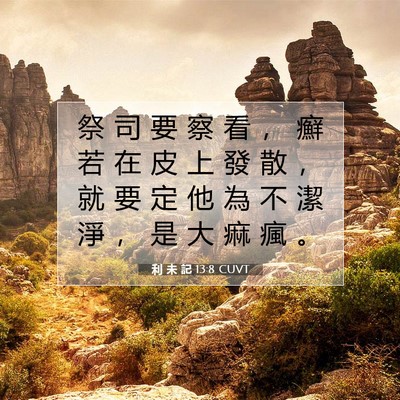 Picture 07 - 利 未 記 13:8 CUVT - 祭 司 要 察 看 ， 癬 若 在 皮 上 發 - Bible Verse Picture