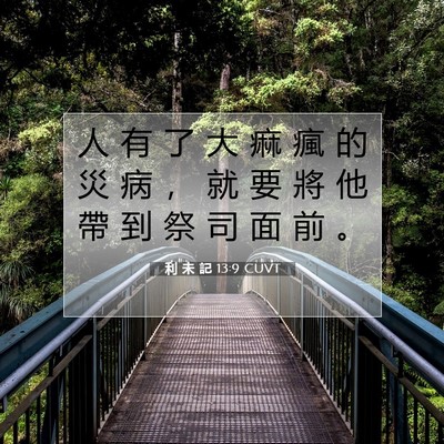 Picture 07 - 利 未 記 13:9 CUVT - 人 有 了 大 痲 瘋 的 災 病 ， 就 要 - Bible Verse Picture