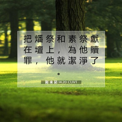 Picture 07 - 利 未 記 14:20 CUVT - 把 燔 祭 和 素 祭 獻 在 壇 上 ， 為 - Bible Verse Picture