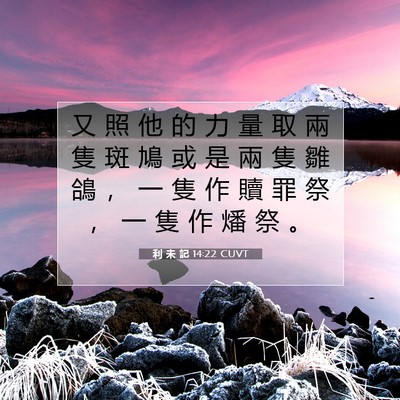 Picture 07 - 利 未 記 14:22 CUVT - 又 照 他 的 力 量 取 兩 隻 斑 鳩 或 - Bible Verse Picture
