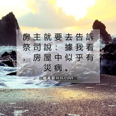 Picture 07 - 利 未 記 14:35 CUVT - 房 主 就 要 去 告 訴 祭 司 說 ： 據 - Bible Verse Picture