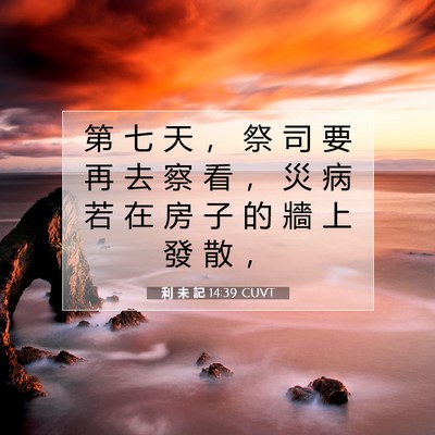 Picture 07 - 利 未 記 14:39 CUVT - 第 七 天 ， 祭 司 要 再 去 察 看 ， - Bible Verse Picture