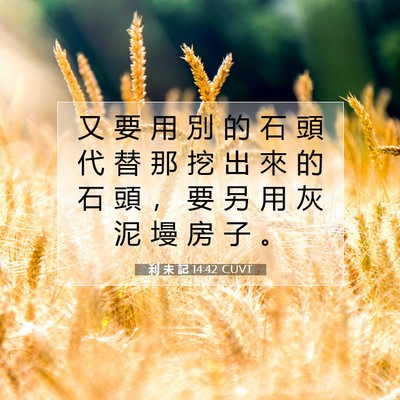 Picture 07 - 利 未 記 14:42 CUVT - 又 要 用 別 的 石 頭 代 替 那 挖 出 - Bible Verse Picture