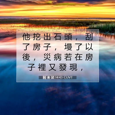 Picture 07 - 利 未 記 14:43 CUVT - 他 挖 出 石 頭 ， 刮 了 房 子 ， 墁 - Bible Verse Picture
