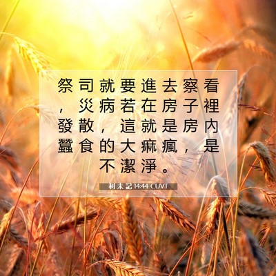 Picture 07 - 利 未 記 14:44 CUVT - 祭 司 就 要 進 去 察 看 ， 災 病 若 - Bible Verse Picture