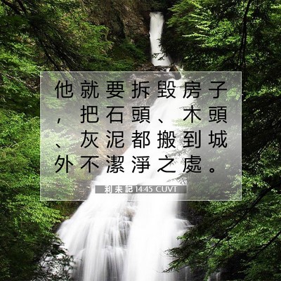 Picture 07 - 利 未 記 14:45 CUVT - 他 就 要 拆 毀 房 子 ， 把 石 頭 、 - Bible Verse Picture