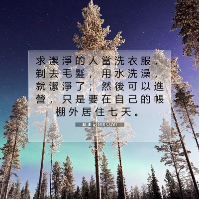 Picture 07 - 利 未 記 14:8 CUVT - 求 潔 淨 的 人 當 洗 衣 服 ， 剃 去 - Bible Verse Picture