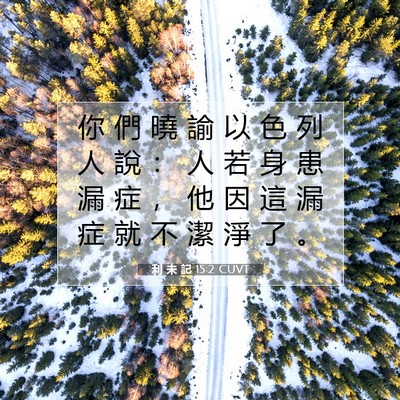 Picture 07 - 利 未 記 15:2 CUVT - 你 們 曉 諭 以 色 列 人 說 ： 人 若 - Bible Verse Picture