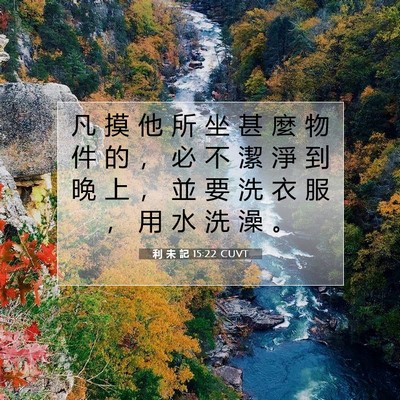 Picture 07 - 利 未 記 15:22 CUVT - 凡 摸 他 所 坐 甚 麼 物 件 的 ， 必 - Bible Verse Picture