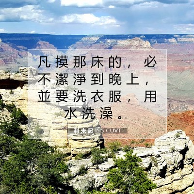 Picture 07 - 利 未 記 15:5 CUVT - 凡 摸 那 床 的 ， 必 不 潔 淨 到 晚 - Bible Verse Picture