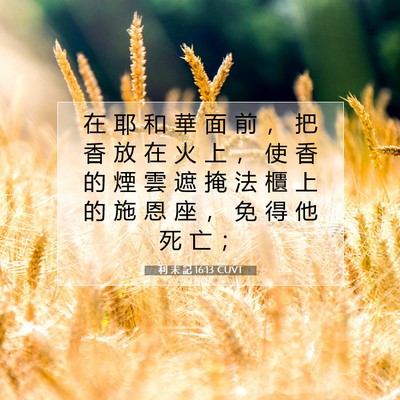 Picture 07 - 利 未 記 16:13 CUVT - 在 耶 和 華 面 前 ， 把 香 放 在 火 - Bible Verse Picture