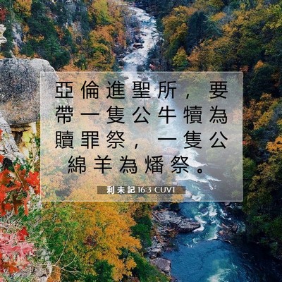 Picture 07 - 利 未 記 16:3 CUVT - 亞 倫 進 聖 所 ， 要 帶 一 隻 公 牛 - Bible Verse Picture