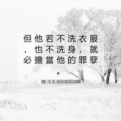 Picture 07 - 利 未 記 17:16 CUVT - 但 他 若 不 洗 衣 服 ， 也 不 洗 身 - Bible Verse Picture